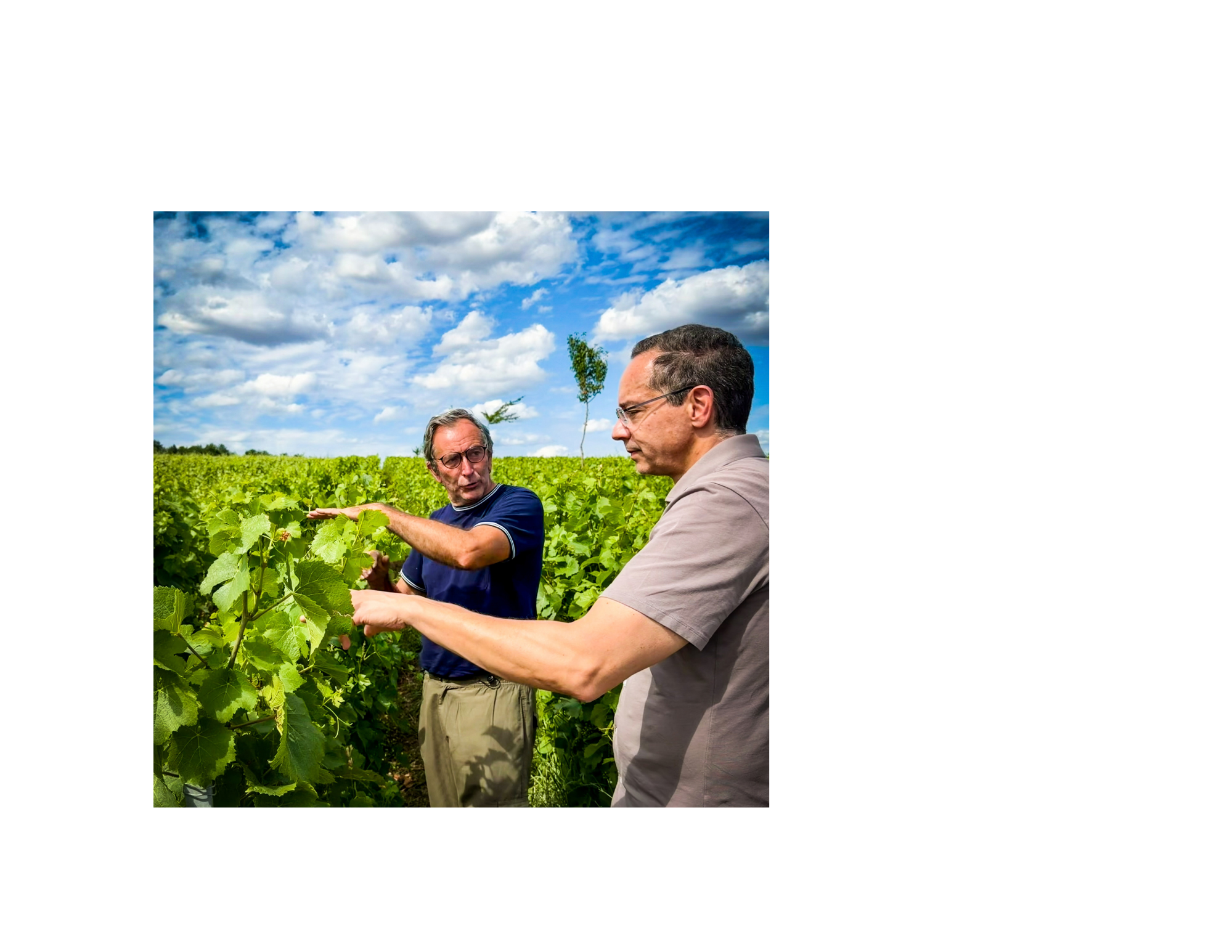 Lieven visiting a vineyard in Talus-Saint-Prix, Champagne